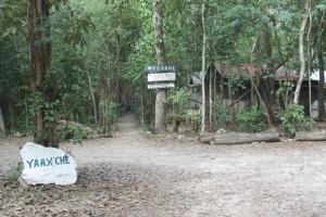 Fotografie z fotogalerie ubytování Campamento Yaax Che en Calakmul v destinaci Conhuas
