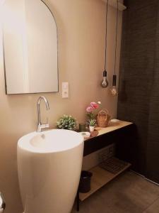 uma casa de banho com um lavatório e um espelho em Le Patio 4*. SPA, jardin, piscine en provence, proche Grignan em Saint-Paul-Trois-Châteaux