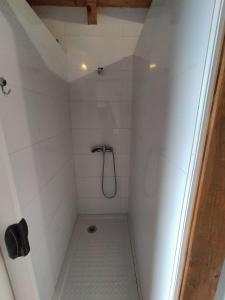 維拉卡扎蒂瑟加的住宿－Albergue Don Camino，浴室设有白色瓷砖淋浴。