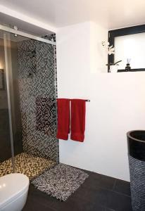 uma casa de banho com um chuveiro, toalhas vermelhas e um WC. em Beau studio dans ancienne grange rénovée. em Blonay