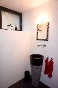 a bathroom with a vase in the corner of a room at Beau studio dans ancienne grange rénovée. in Blonay