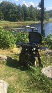 a picnic table sitting in the grass next to a lake at Évika boutique hotel in Eskilsby