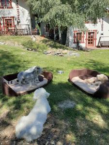 two dog beds in the grass with a dog on them at Gočke Lux vile & Duplex in Vrnjačka Banja