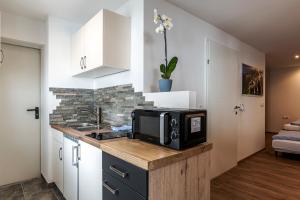 Kuchyňa alebo kuchynka v ubytovaní Haus Silvretta NOVA