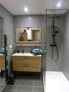 La salle de bains est pourvue d'une douche et d'un lavabo. dans l'établissement Le soleil du Revard, à Aix-les-Bains
