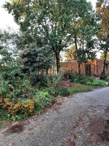 een lege weg met bomen en bloemen aan de zijkant bij BIESBOSCHBEST in Werkendam