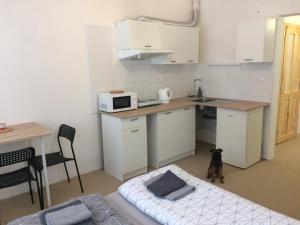 Cucina o angolo cottura di UBYTOVÁNÍ u BRABANTÍKA