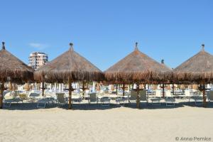 Spiaggia vicina o nei dintorni dell'appartamento