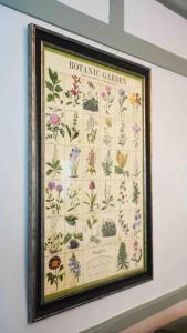 uma imagem emoldurada de flores numa parede em *Stunning* The Botanist Rest Ventnor IOW em Ventnor