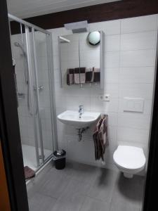 ein Bad mit einem Waschbecken, einer Dusche und einem WC in der Unterkunft Behringer in Immenstaad am Bodensee