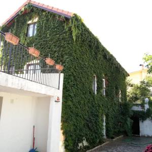 un edificio cubierto de hiedra verde junto a un garaje en Casa Agrícola Do Limonete, en Figueira da Foz