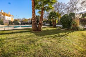 two palm trees in a yard with a swimming pool at Place in the sun - Free out door Jacuzzi - BY BEDZY in Albufeira