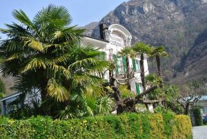 Ein allgemeiner Bergblick oder ein Berglick von des Bed & Breakfasts aus