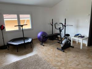 a room with a gym with exercise equipment in it at Villa Spa de l’Ajoie in Cornol