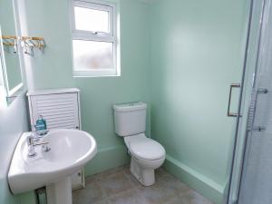 ein Bad mit einem WC und einem Waschbecken in der Unterkunft Dolwen in Betws-y-coed
