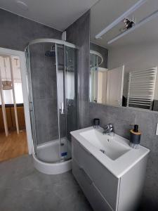 a bathroom with a shower and a white sink at Maple Park Apartment in Kaunas +19 photos