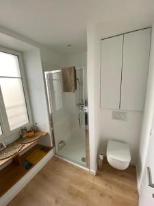uma casa de banho com um chuveiro, um WC e uma janela. em Appartement du Port - Audierne em Audierne