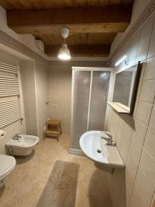 uma casa de banho com um lavatório, um chuveiro e um WC. em Tabia Suite Pelmo em Villagrande