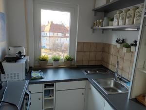 una pequeña cocina con fregadero y ventana en Wie Daheim, en Núremberg