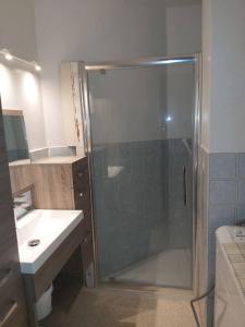 ein Bad mit einer Glasdusche und einem Waschbecken in der Unterkunft Appart Familial Le Grau Du Roi in Le Grau-du-Roi