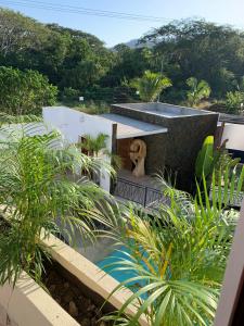 a house with a swimming pool in a garden at Luana suites- Suite Nikté in Zihuatanejo
