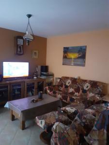 a living room with a couch and a tv at LE PETIT PLESSIS CURE in Liré