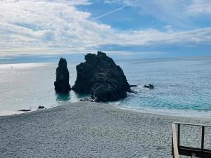 uma formação rochosa no oceano ao lado de uma praia em Acciuga em Monterosso al Mare