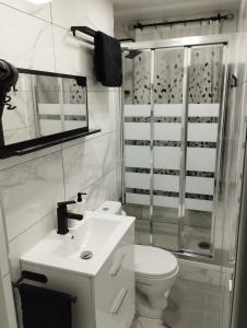 uma casa de banho com um WC, um lavatório e um chuveiro em Vilapicina Hostal em Barcelona