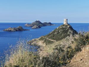 Fotografia z galérie ubytovania AJACCIO - SCUDO GARDEN v destinácii Ajaccio