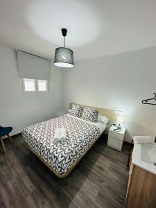 a bedroom with a bed and a pendant light at HOSPEDAJE NUEVA NUMANCIA in Madrid