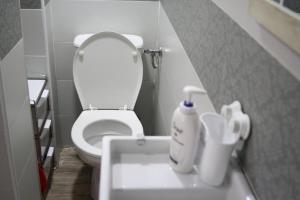 Baño pequeño con aseo y lavamanos en Studio House - Getaway, en Bitola