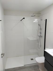 y baño blanco con ducha y aseo. en Apartamentos Kai Santurtzi en Santurce