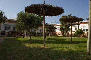 Сад в Apartamentos Bellavista Bolonia