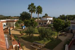 - une vue sur un parc avec des palmiers et des bancs dans l'établissement Apartamentos Bellavista Bolonia, à Bolonia