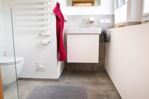a small bathroom with a sink and a toilet at Apartment Haak in Halle Westfalen +33 photos