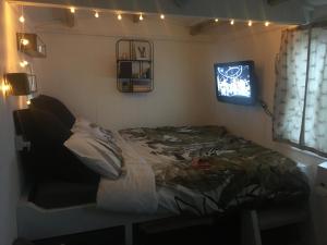 um quarto com uma cama, uma televisão e luzes em Mr Hares shepherd hut em Mellis