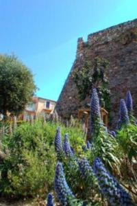 un montón de flores púrpuras delante de un edificio en Cadre de rêve mais vous faites le ménage- very good prices but you have to clea-n th-e flat, en Cannes