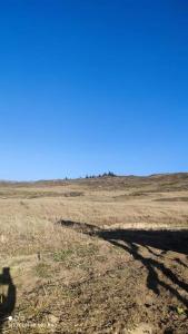 ein Schatten einer Person, die ein Bild auf einem Feld macht in der Unterkunft Cabaña Berlín Tona Santander in Tona