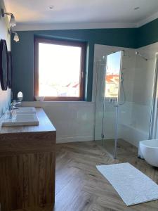 y baño con ducha acristalada y lavamanos. en Apartament DeLux, en Pasłęk