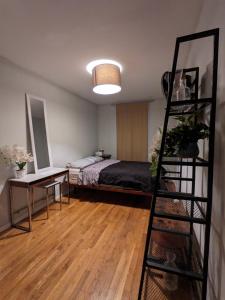 Zimmer mit einem Bett und einer Leiter in der Unterkunft Williamsburg Private Room with Garden in Brooklyn