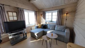 a living room with a couch and a tv at Øen Turistsenter Apartments in Geilo +11 photos