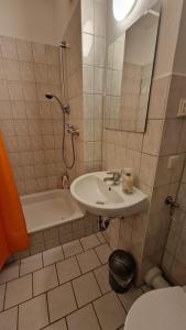 ドレスデンにあるInnenstadt-Appartementのバスルーム(シンク、シャワー、トイレ付)