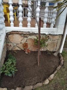un pequeño árbol en un jardín bajo una escalera en La lechuza blanca, en Casavieja