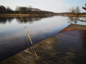 Výhled na řeku, která protéká v blízkosti prázdninového domu
