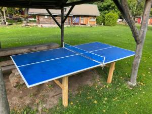 Stolní tenis v ubytování Väike Kuu peamaja nebo okolí