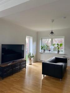 een woonkamer met een zwarte bank en een flatscreen-tv bij Haus Lisa in Neustadt in Holstein