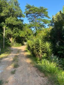 una strada sterrata con alberi e piante sopra. di Cantinho na natureza perto das praias a Niterói