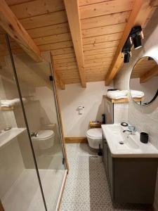 łazienka z prysznicem, umywalką i toaletą w obiekcie Appart Duplex Chalet plein Sud w mieście Feissons-sur-Salins
