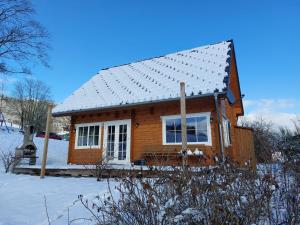 una pequeña casa de madera con techo cubierto de nieve en Home in Wissinghausen with Private Sauna, en Medebach