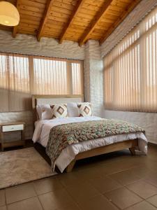 派帕的住宿－Villa Germana，一间带一张大床的卧室,位于带窗户的房间内